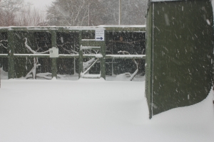 Drifting snow at the Scottish Owl Centre last week